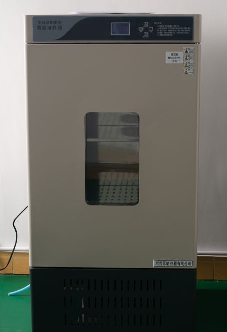 霉菌培养箱
